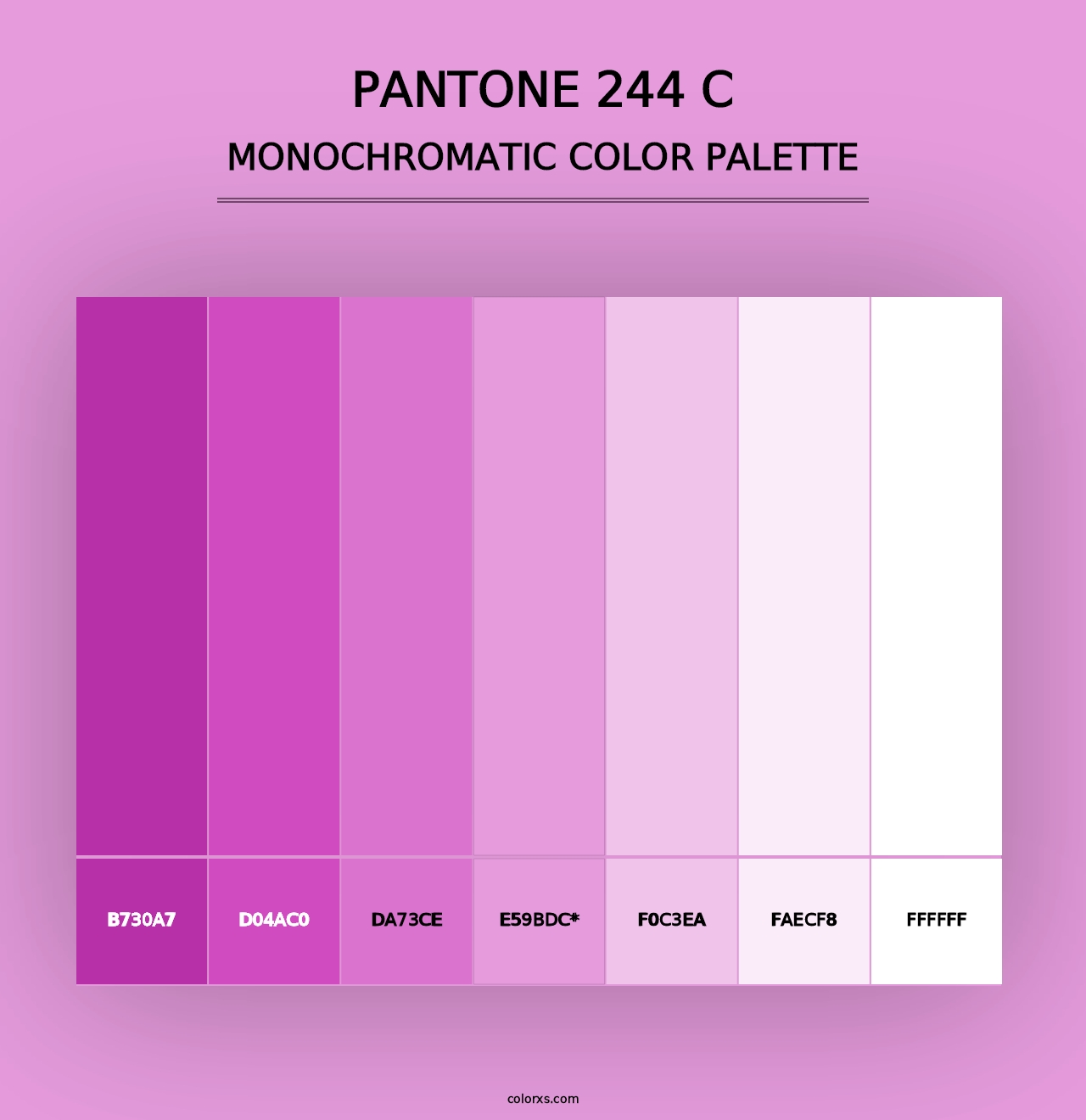 PANTONE 244 C - Monochromatic Color Palette