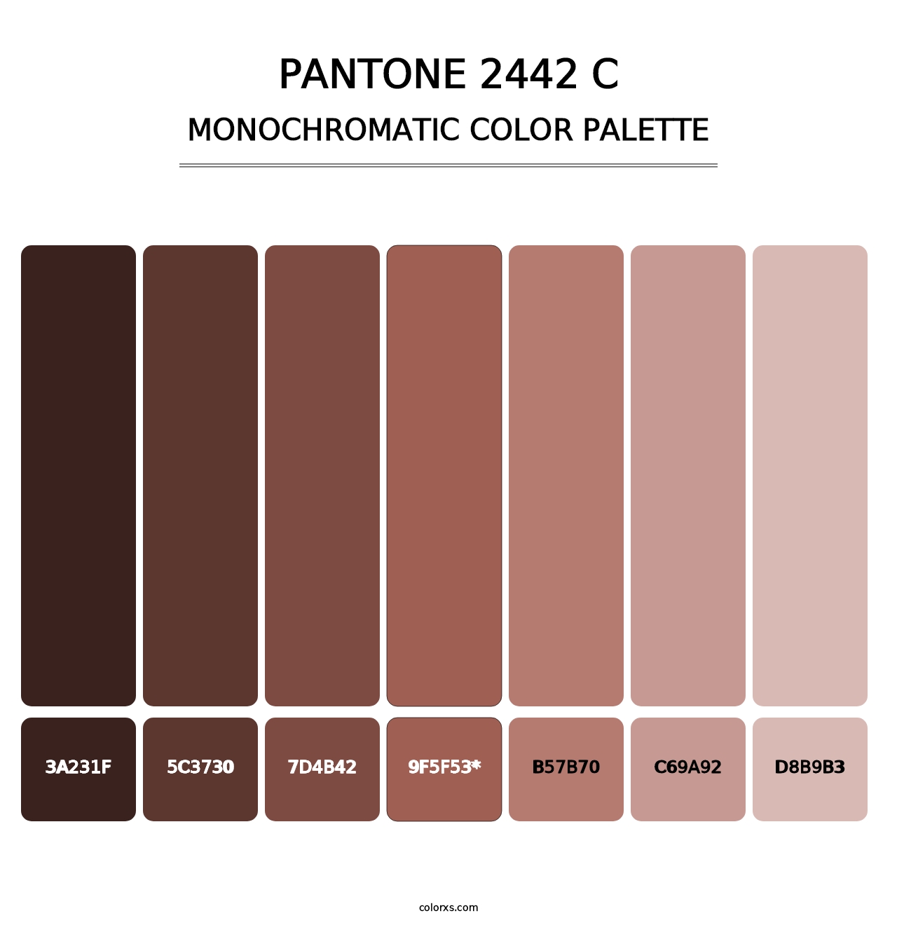 PANTONE 2442 C - Monochromatic Color Palette