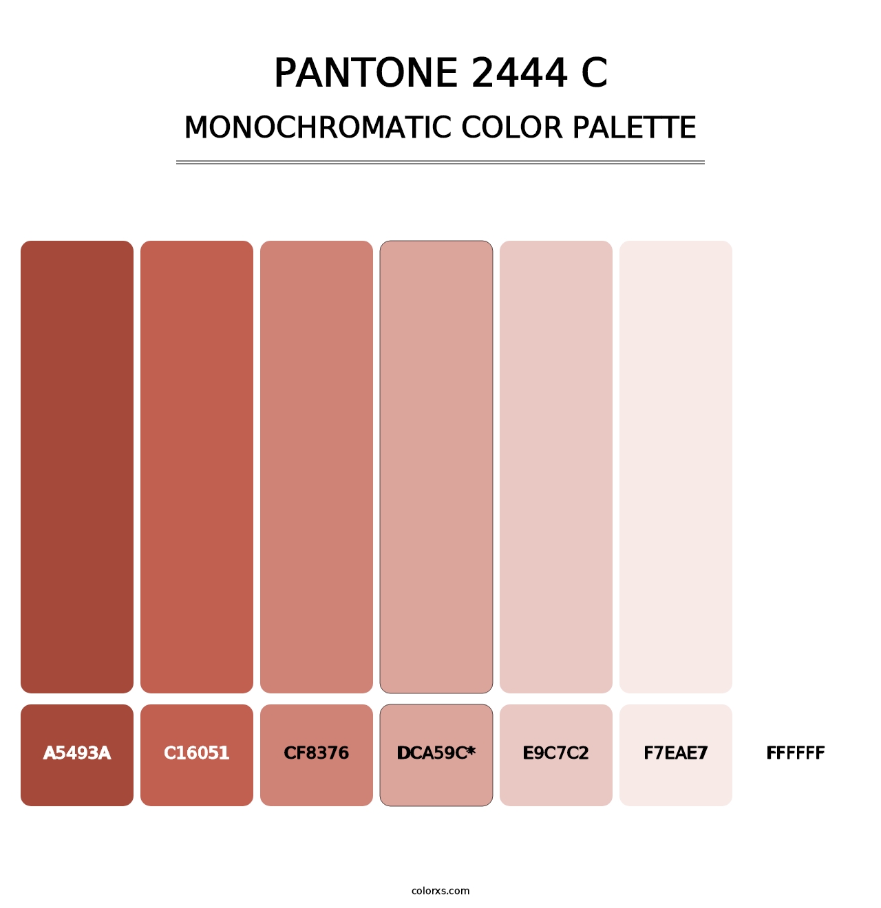 PANTONE 2444 C - Monochromatic Color Palette