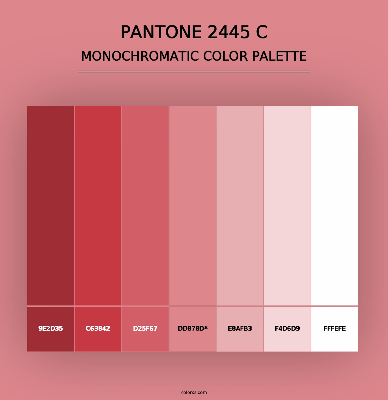 PANTONE 2445 C - Monochromatic Color Palette