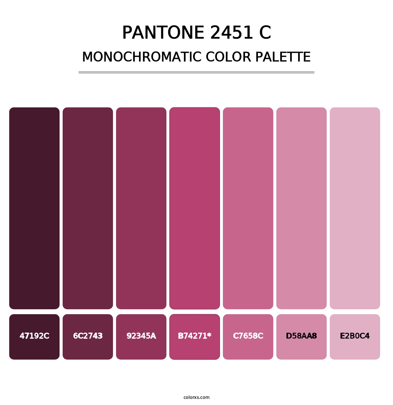 PANTONE 2451 C - Monochromatic Color Palette