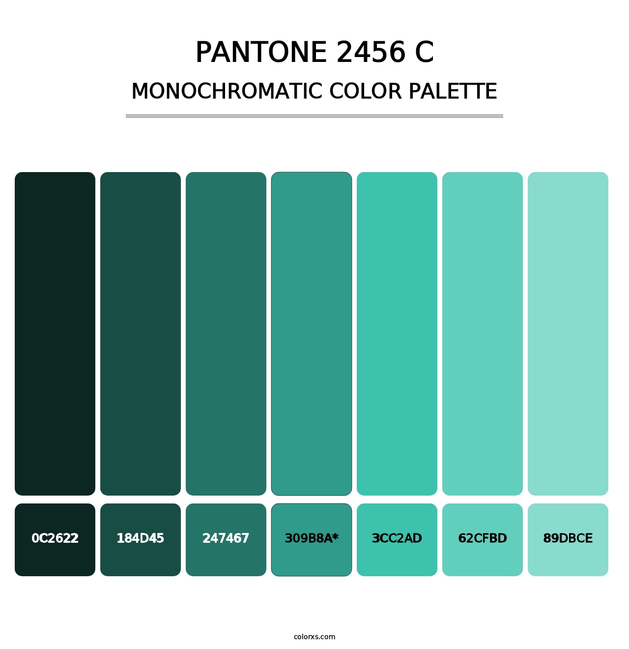 PANTONE 2456 C - Monochromatic Color Palette