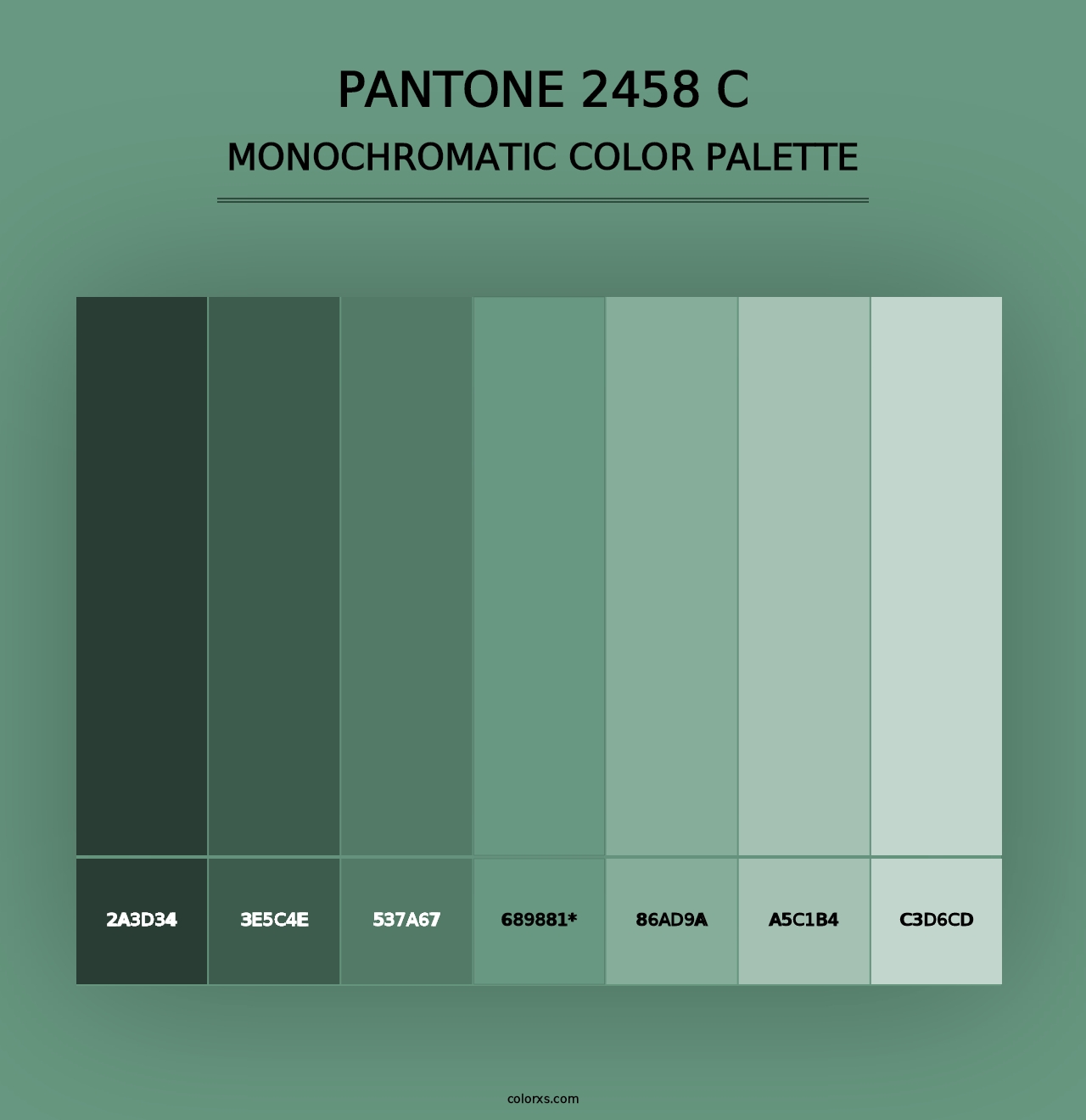 PANTONE 2458 C - Monochromatic Color Palette