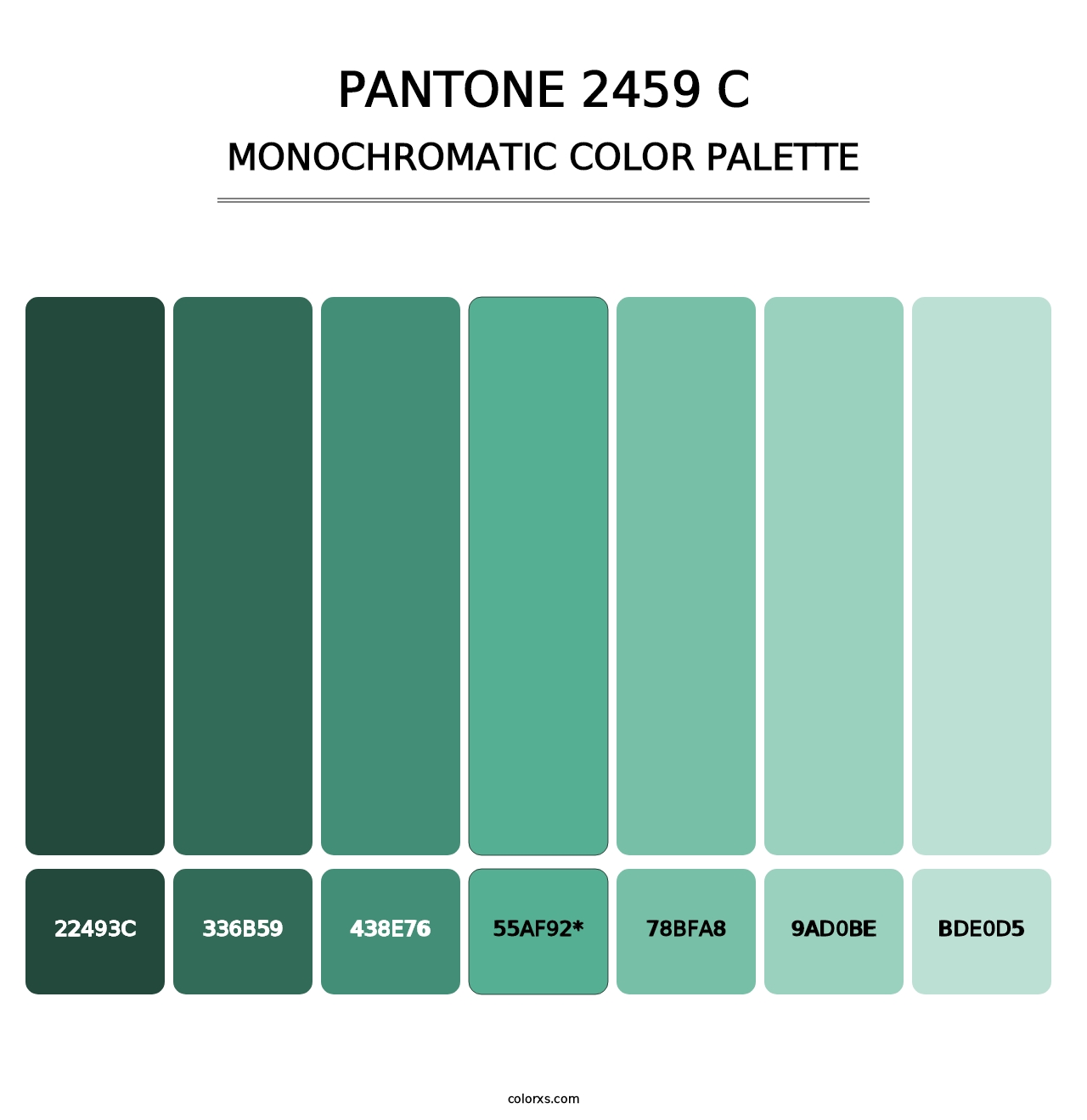 PANTONE 2459 C - Monochromatic Color Palette