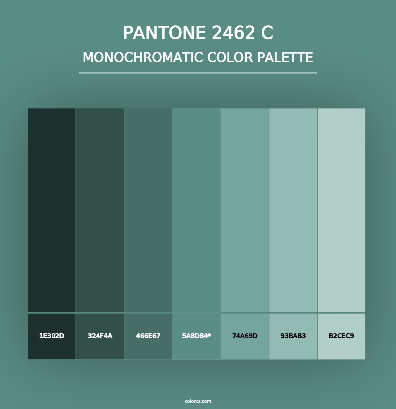 PANTONE 2462 C - Monochromatic Color Palette