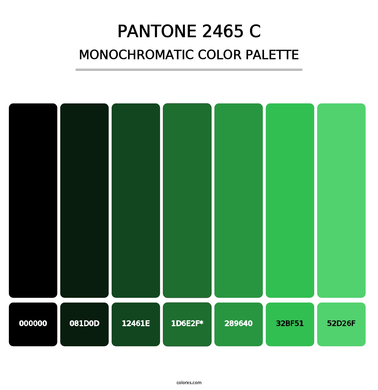 PANTONE 2465 C - Monochromatic Color Palette