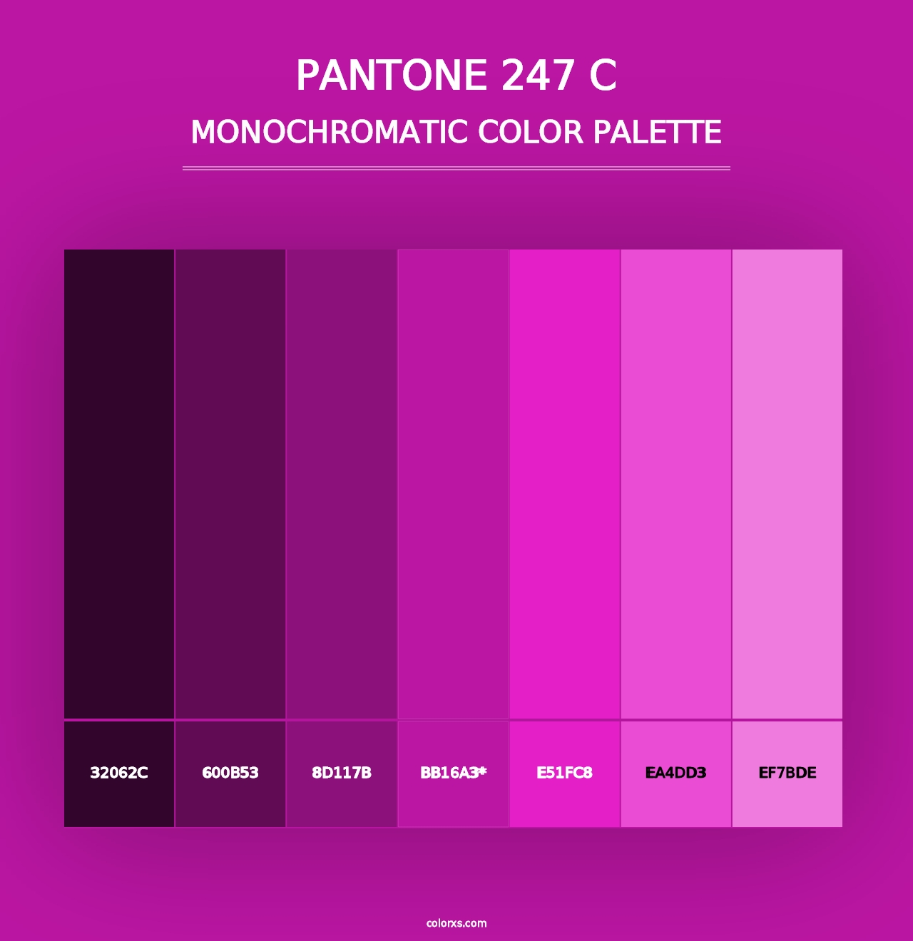 PANTONE 247 C - Monochromatic Color Palette