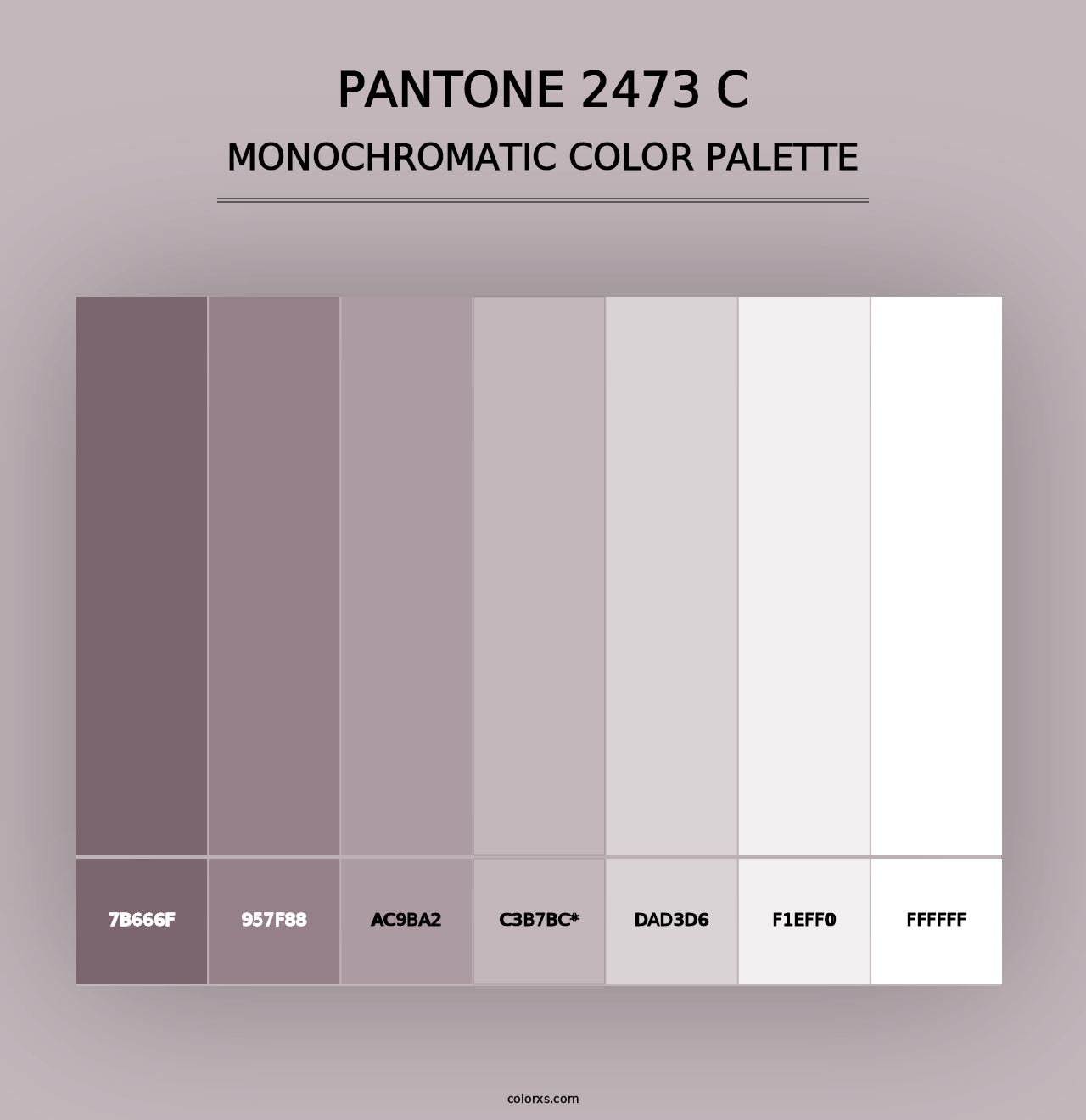 PANTONE 2473 C - Monochromatic Color Palette