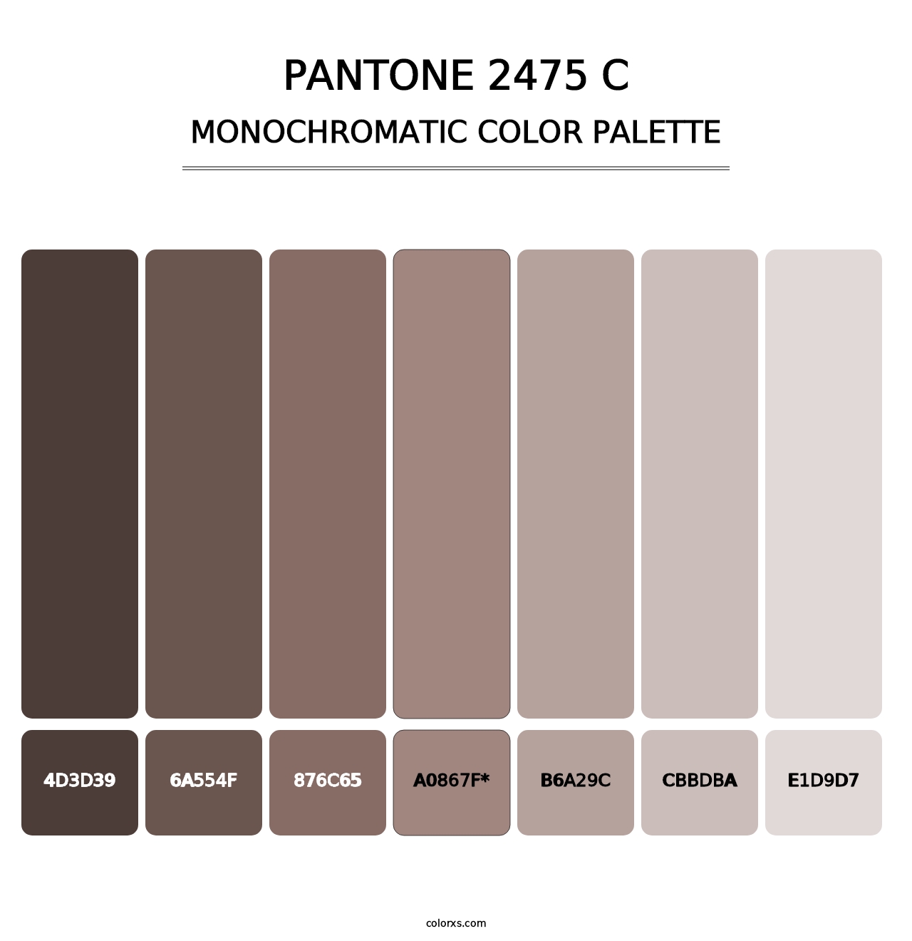 PANTONE 2475 C - Monochromatic Color Palette