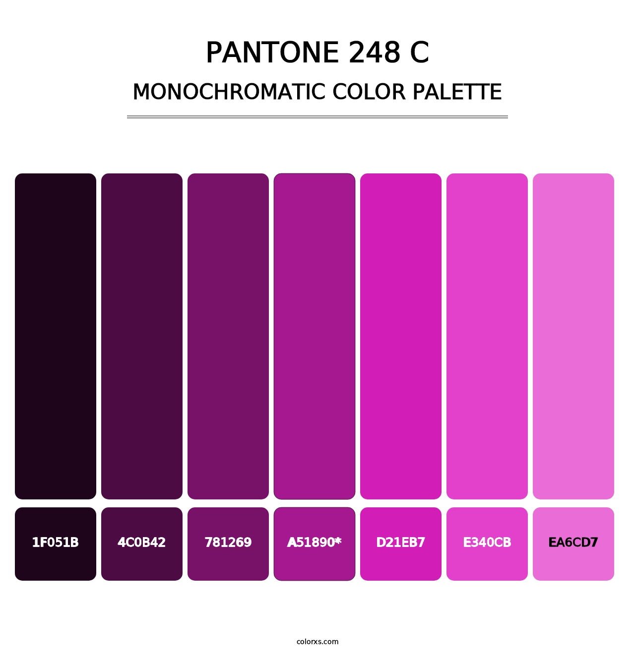 PANTONE 248 C - Monochromatic Color Palette