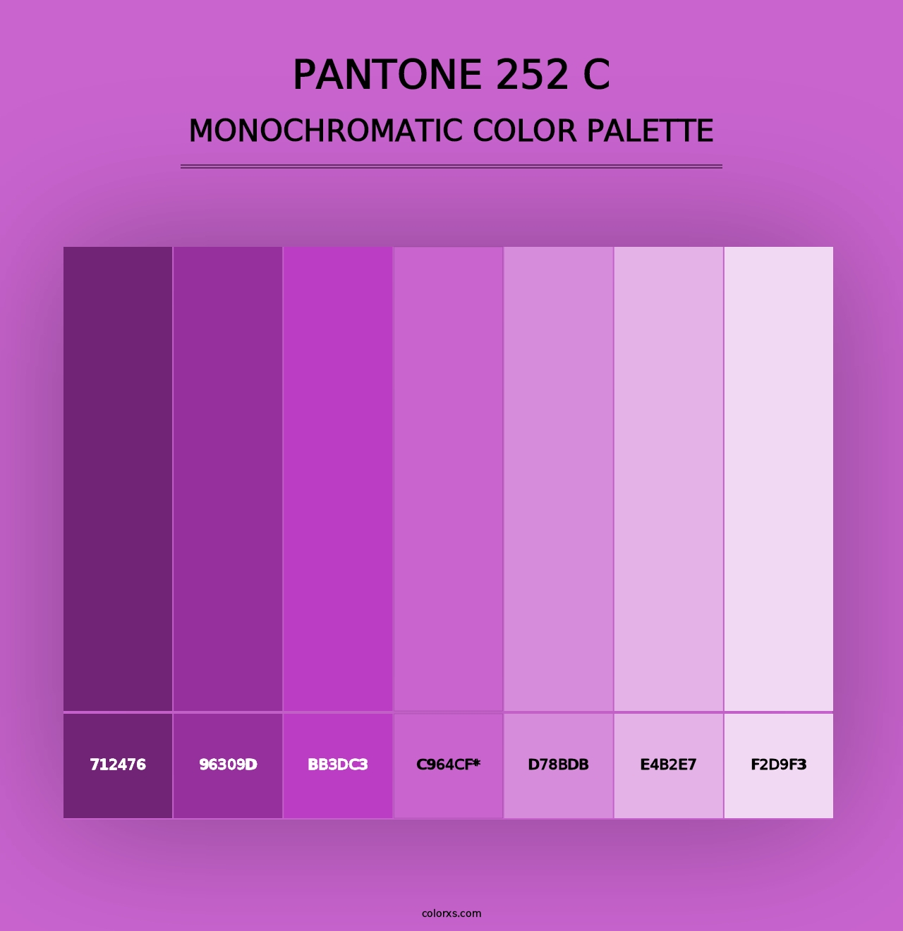 PANTONE 252 C - Monochromatic Color Palette