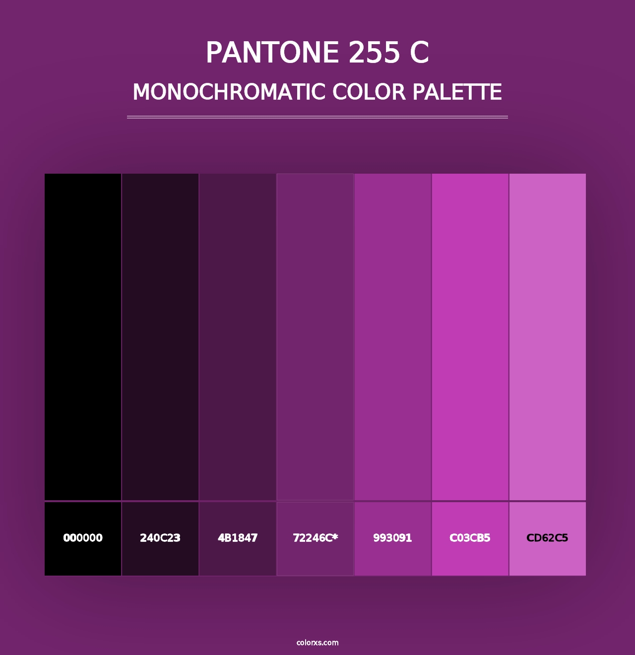 PANTONE 255 C - Monochromatic Color Palette