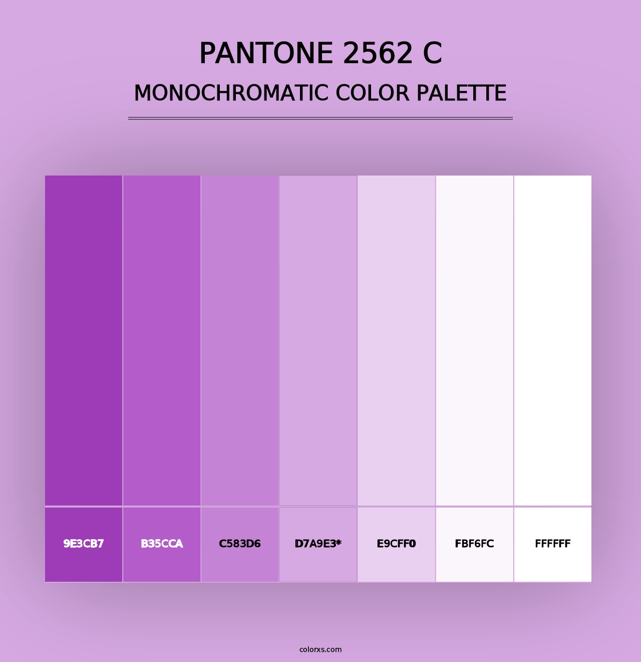 PANTONE 2562 C - Monochromatic Color Palette