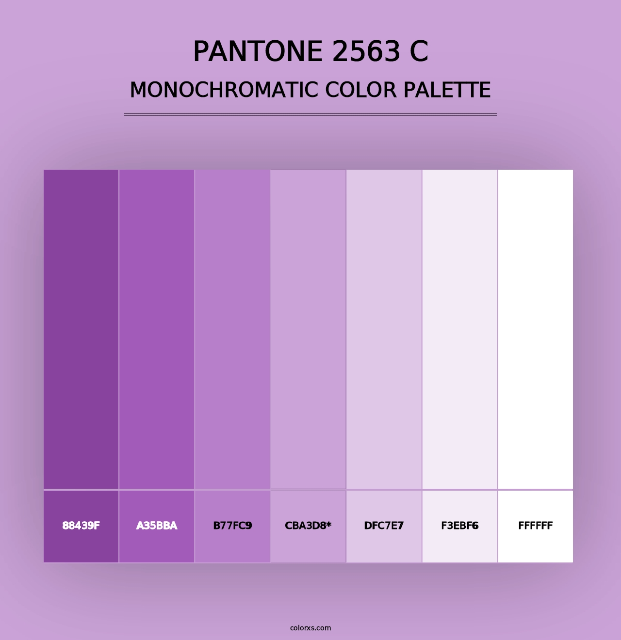 PANTONE 2563 C - Monochromatic Color Palette