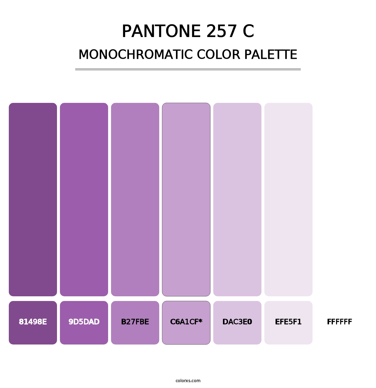 PANTONE 257 C - Monochromatic Color Palette