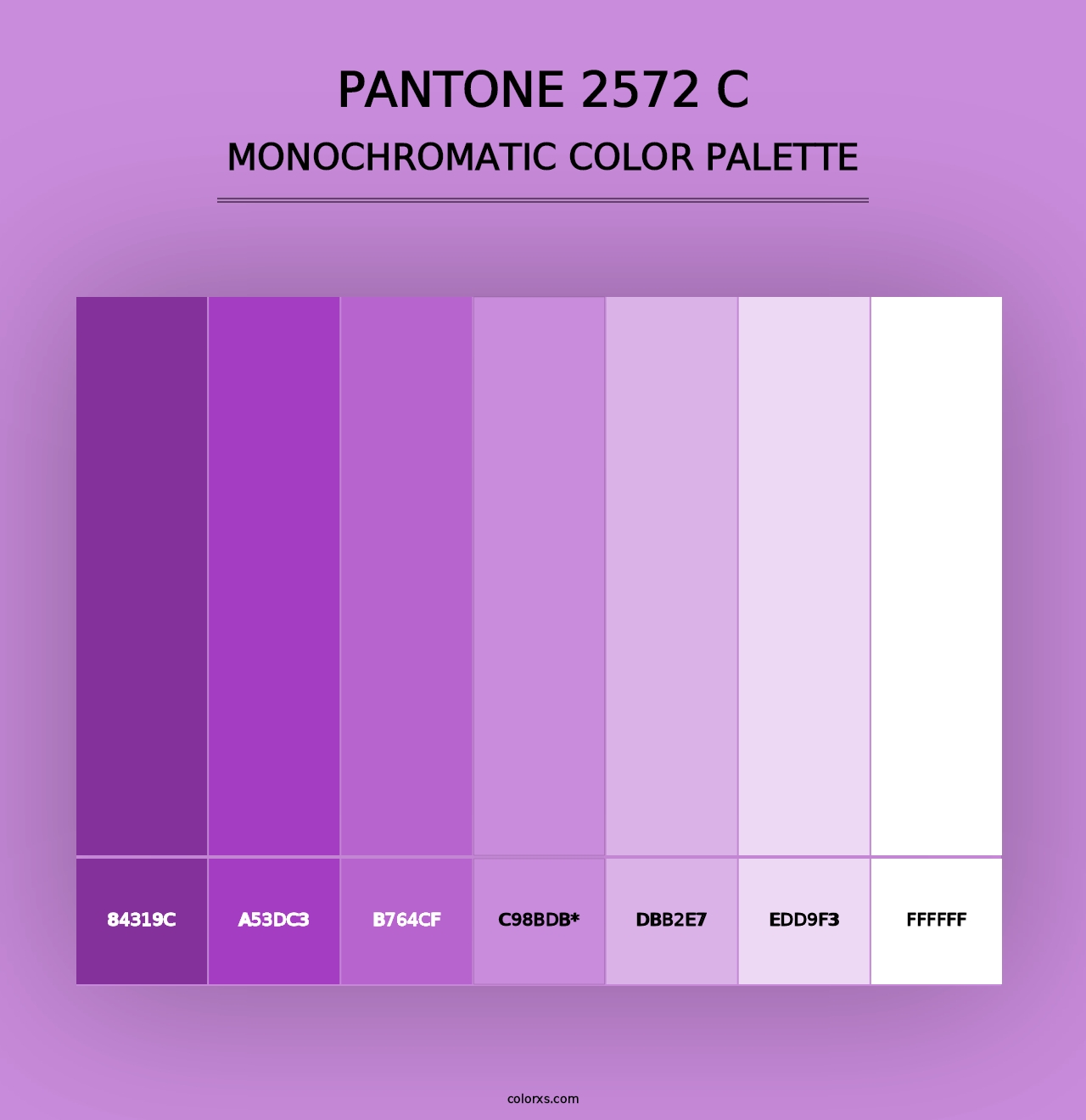 PANTONE 2572 C - Monochromatic Color Palette