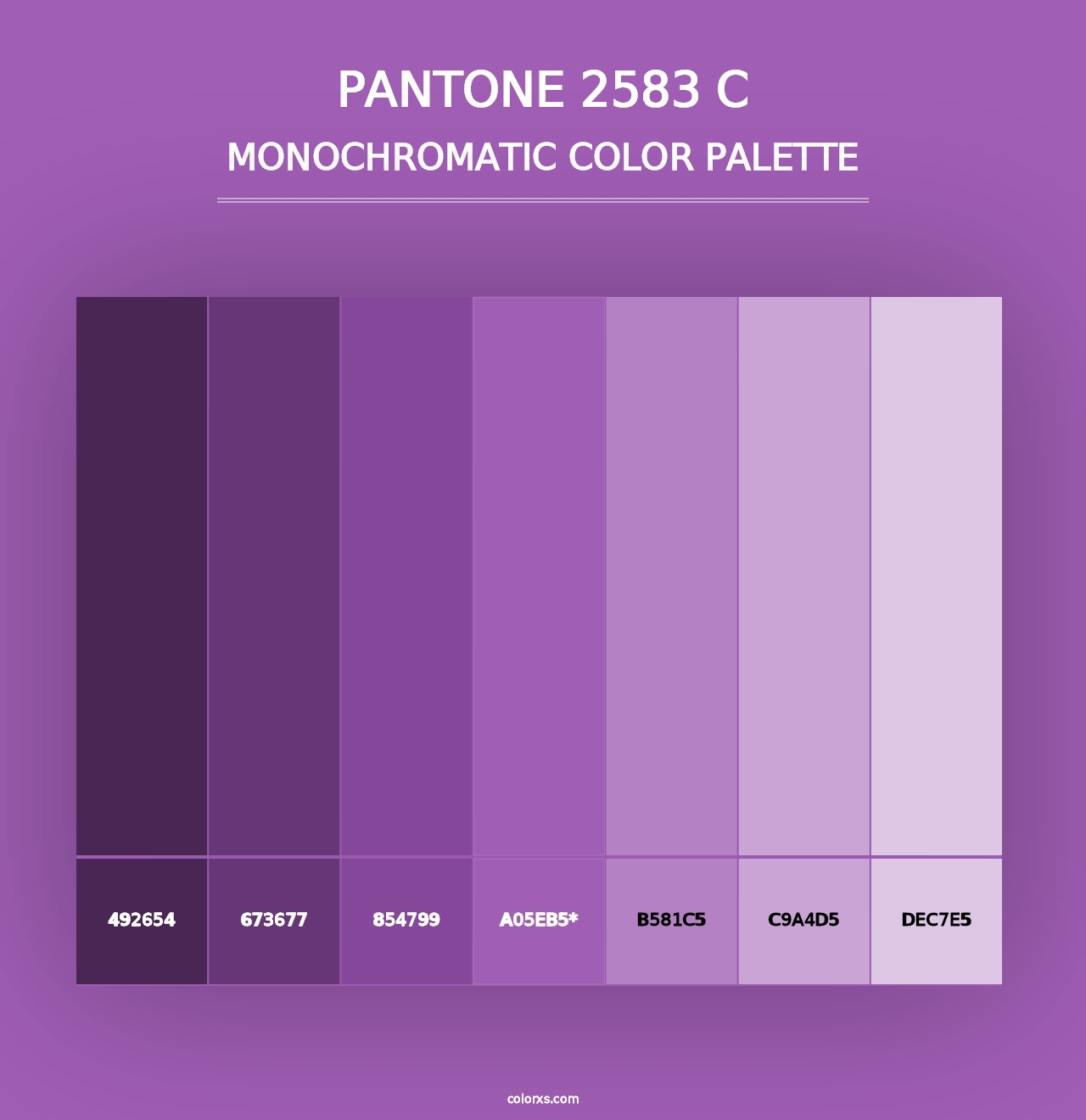 PANTONE 2583 C - Monochromatic Color Palette