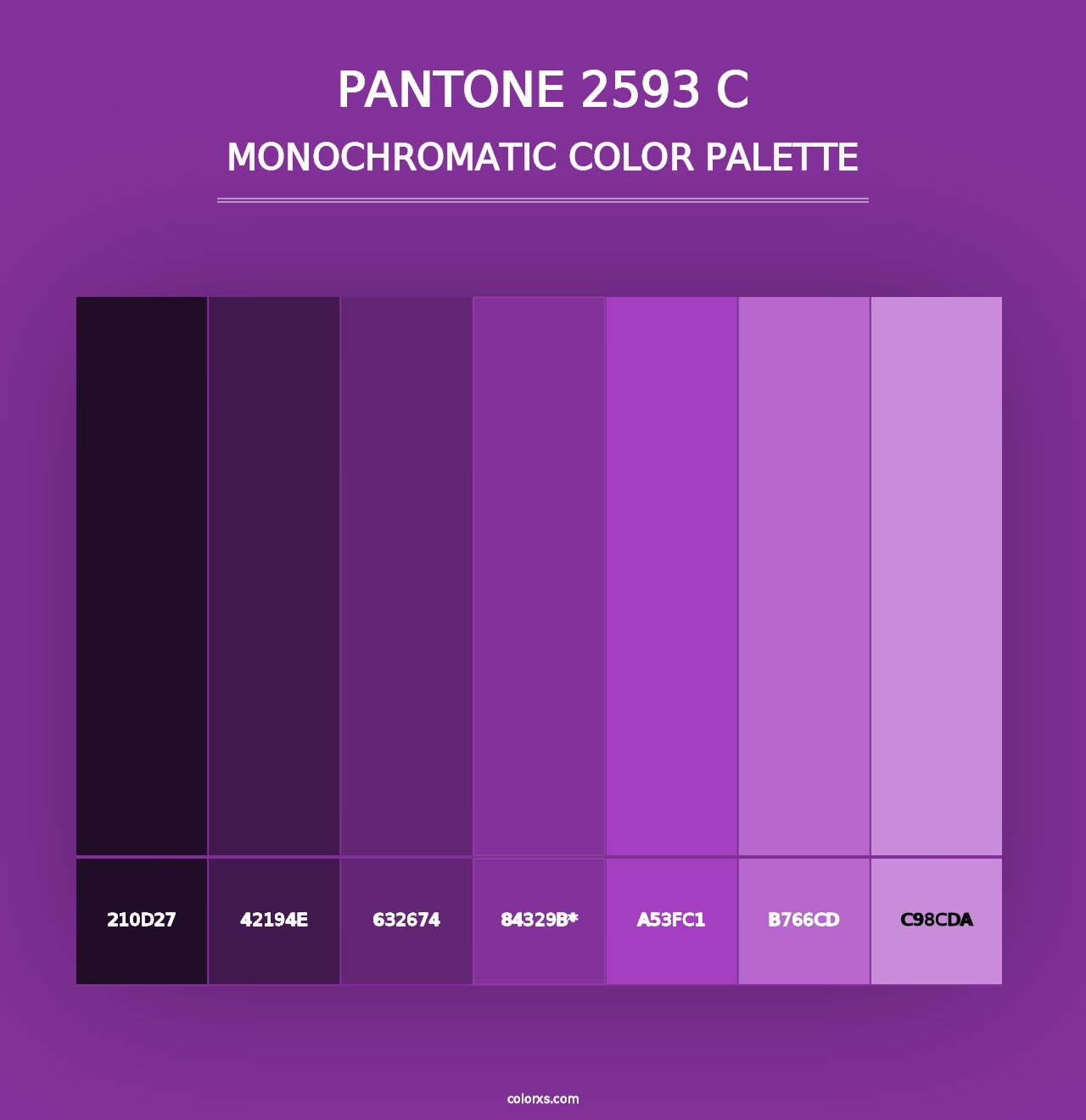 PANTONE 2593 C - Monochromatic Color Palette