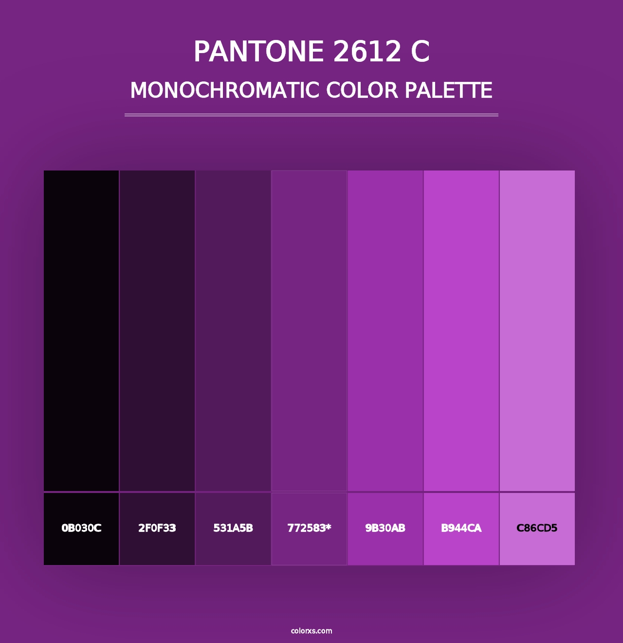 PANTONE 2612 C - Monochromatic Color Palette