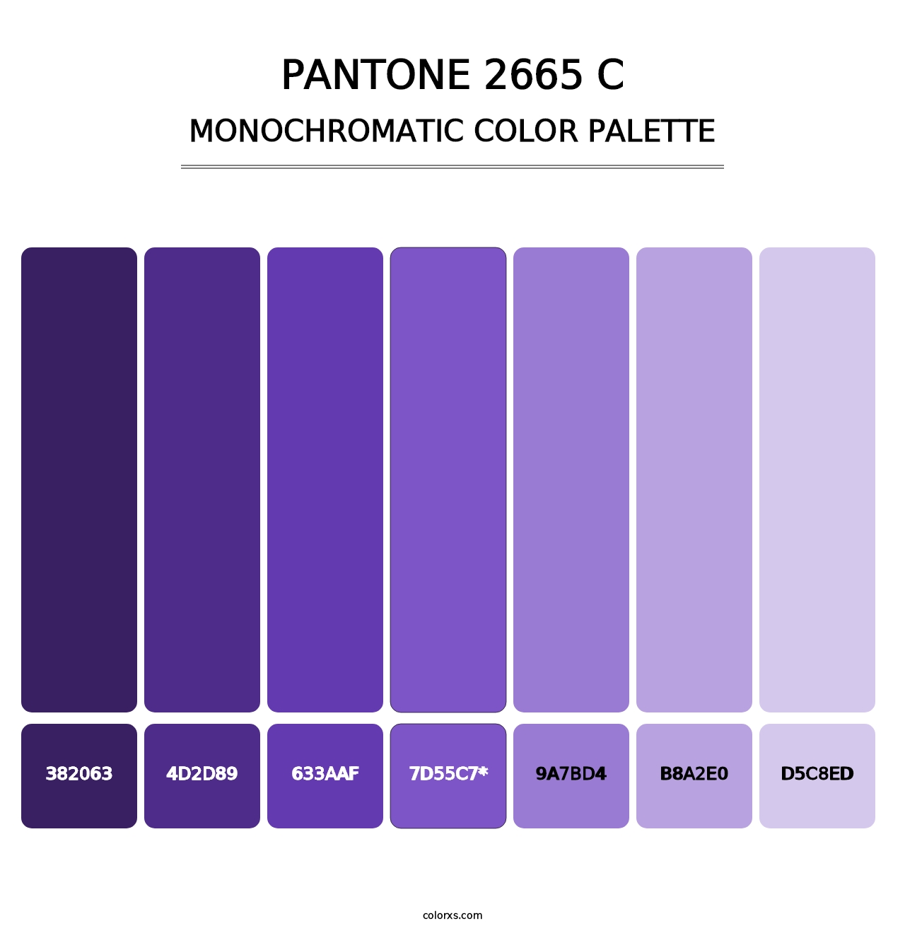 PANTONE 2665 C - Monochromatic Color Palette