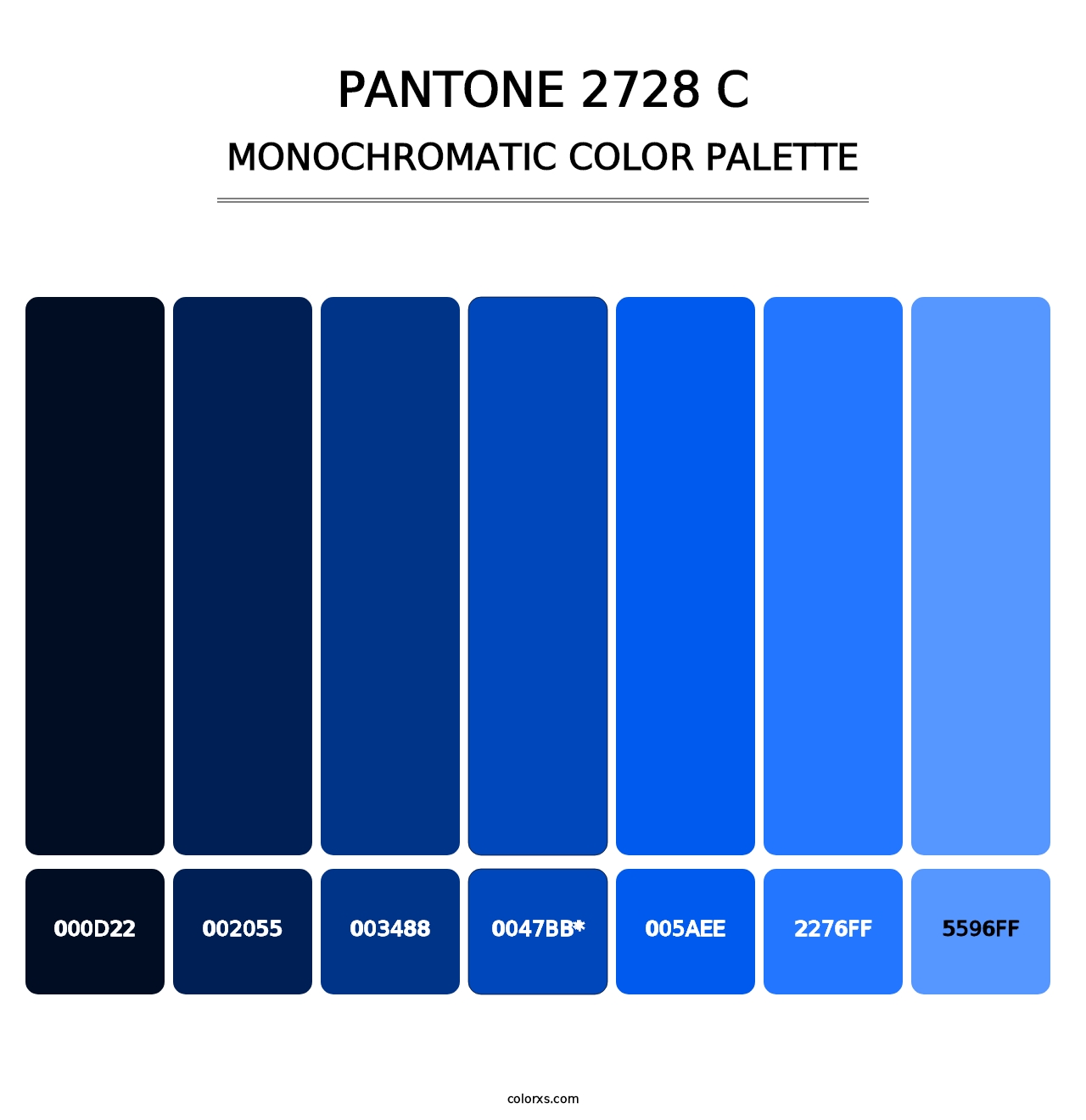 PANTONE 2728 C - Monochromatic Color Palette