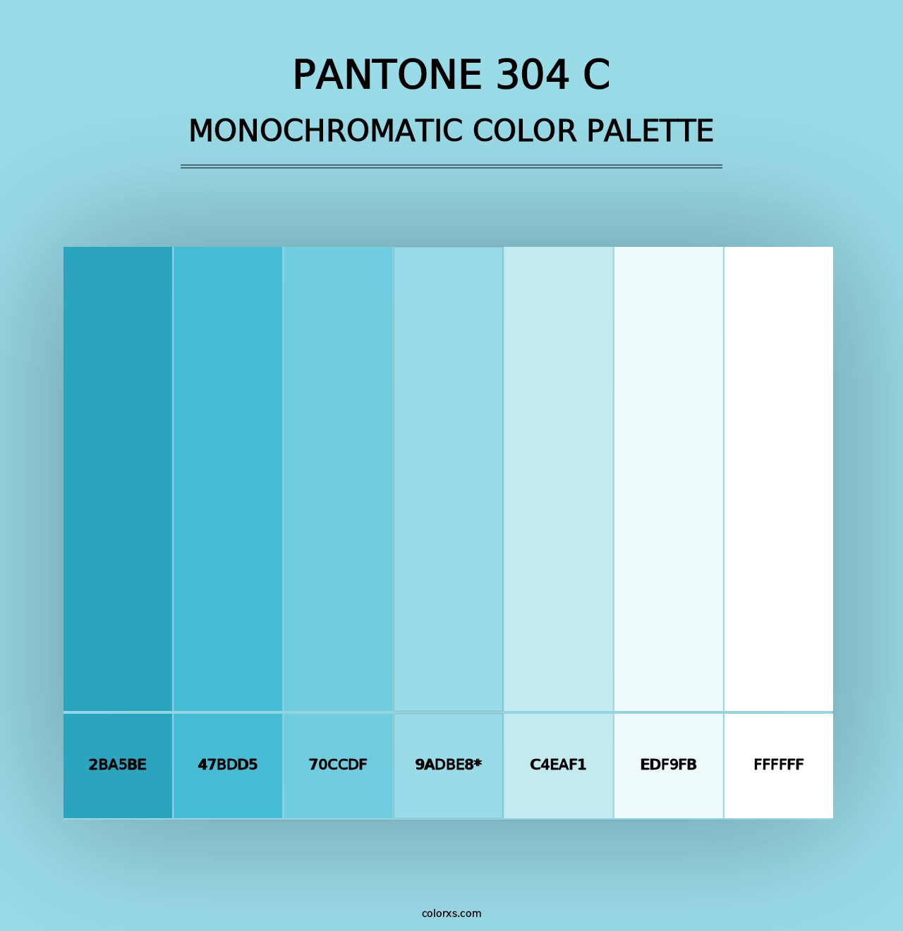 PANTONE 304 C - Monochromatic Color Palette