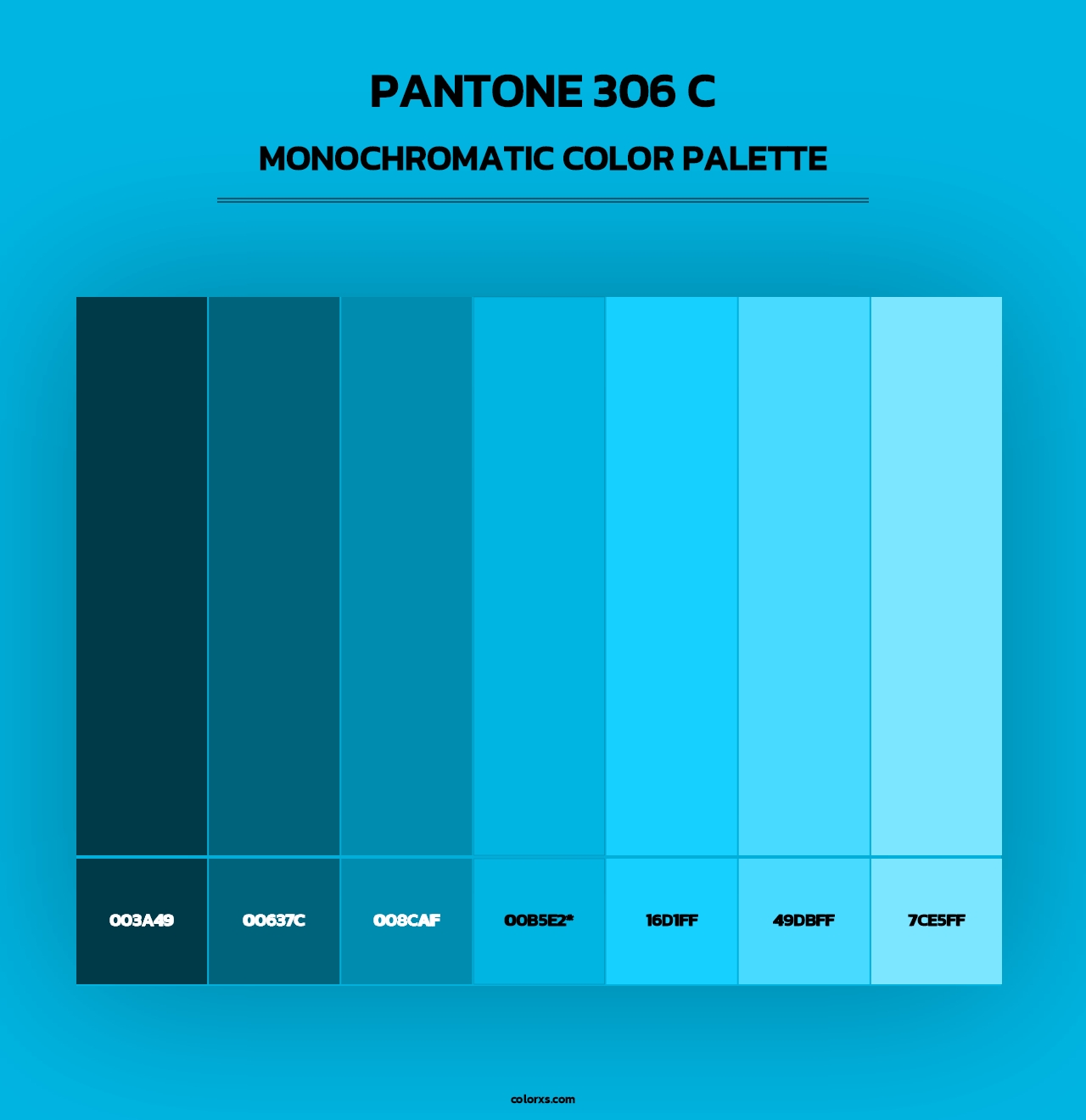 PANTONE 306 C - Monochromatic Color Palette