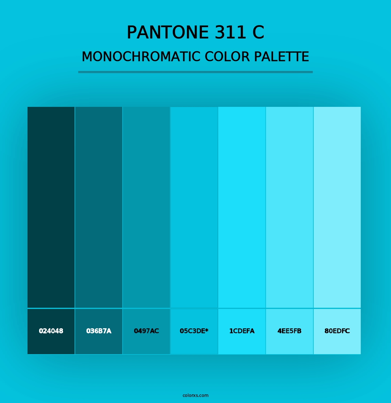 PANTONE 311 C - Monochromatic Color Palette