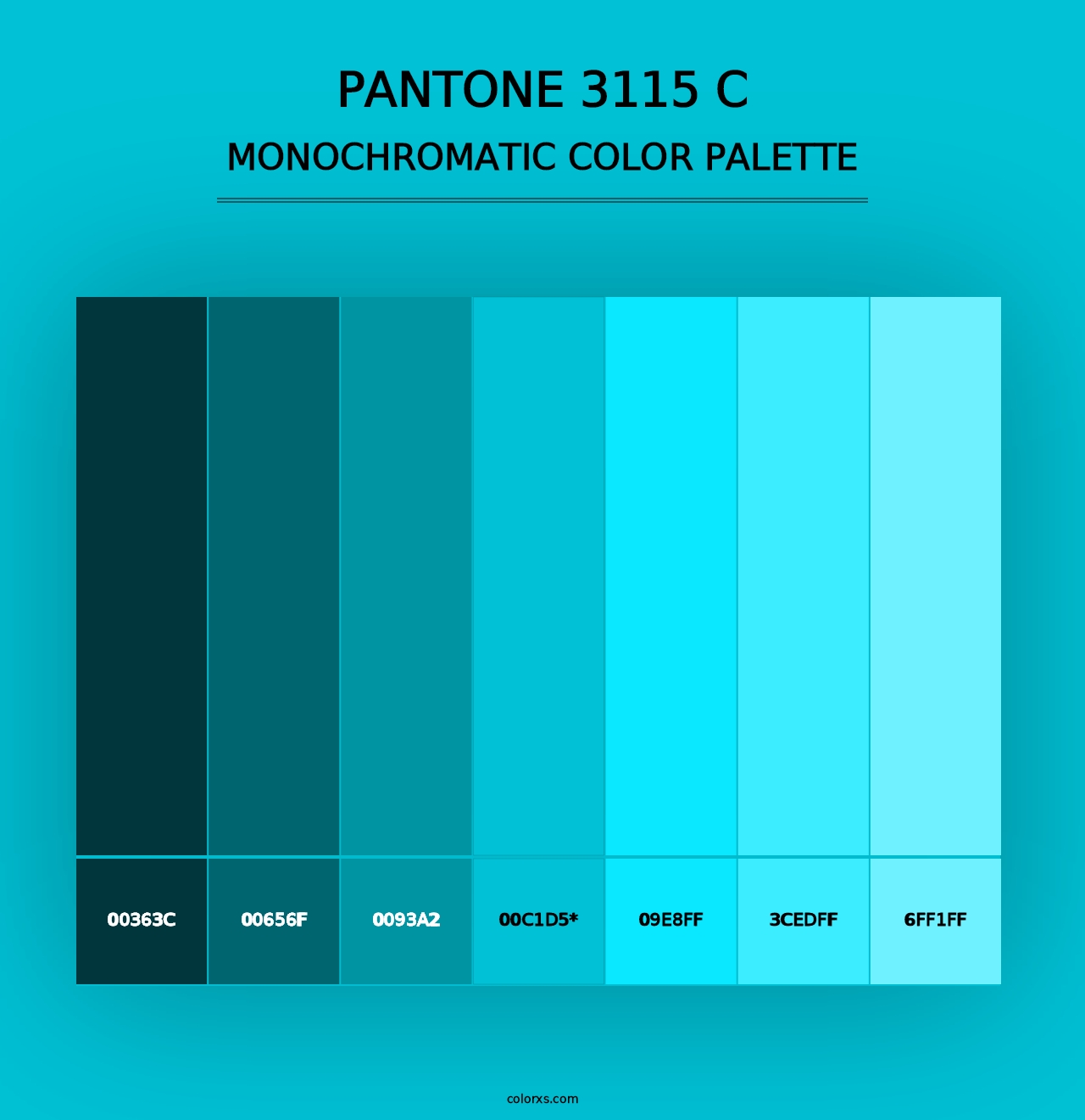 PANTONE 3115 C - Monochromatic Color Palette