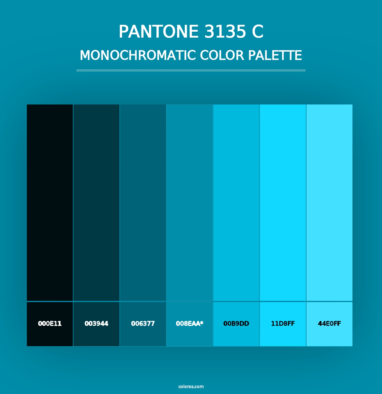 PANTONE 3135 C - Monochromatic Color Palette