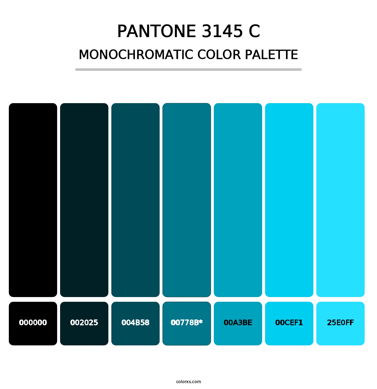 PANTONE 3145 C - Monochromatic Color Palette