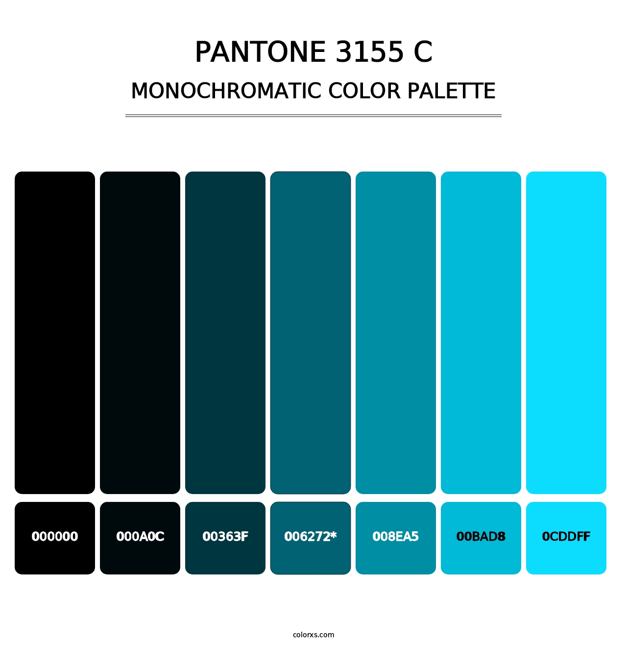 PANTONE 3155 C - Monochromatic Color Palette