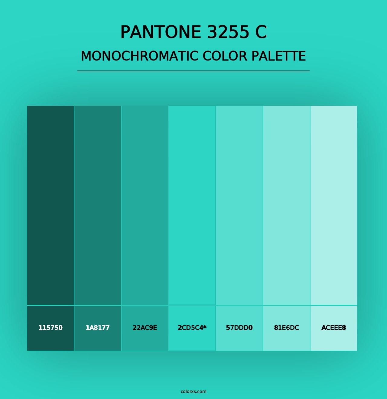 PANTONE 3255 C - Monochromatic Color Palette