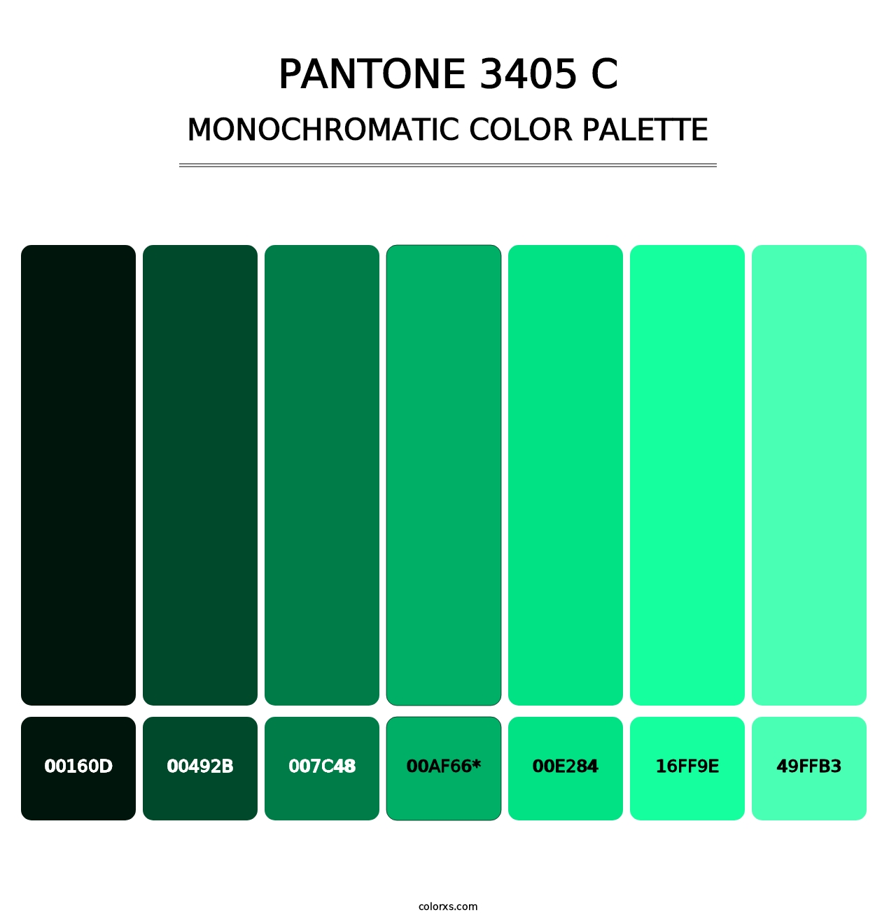 PANTONE 3405 C - Monochromatic Color Palette