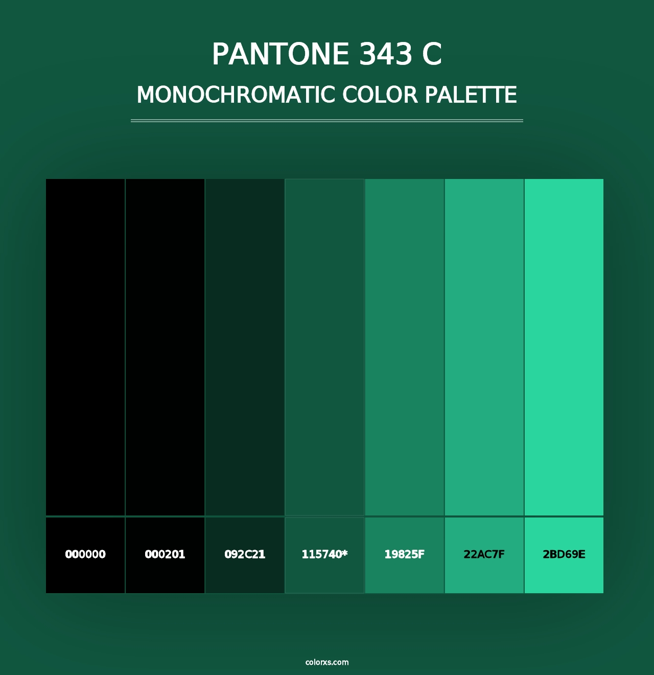 PANTONE 343 C - Monochromatic Color Palette