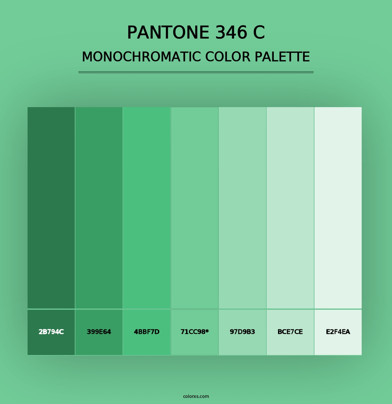 PANTONE 346 C - Monochromatic Color Palette