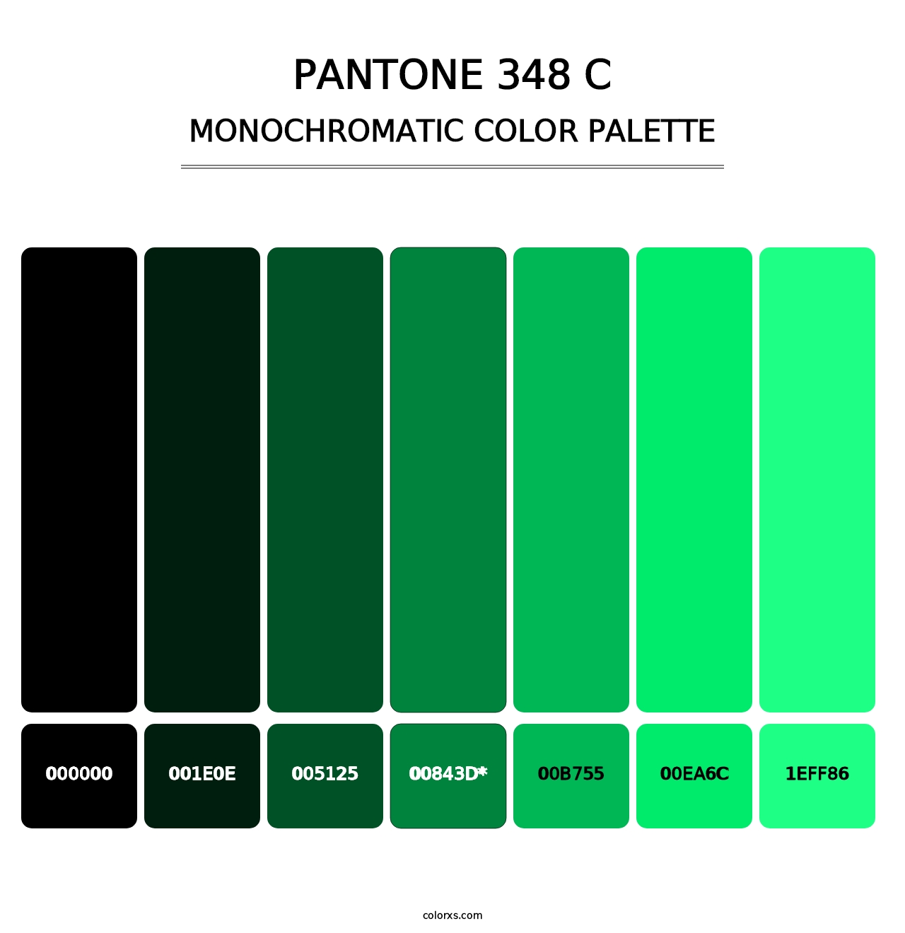 PANTONE 348 C - Monochromatic Color Palette