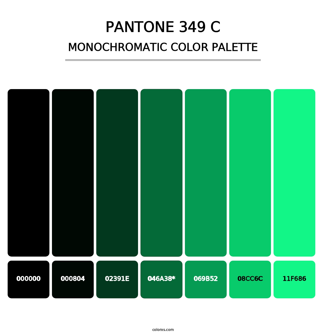 PANTONE 349 C - Monochromatic Color Palette