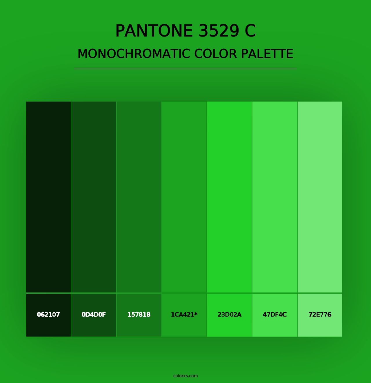 PANTONE 3529 C - Monochromatic Color Palette