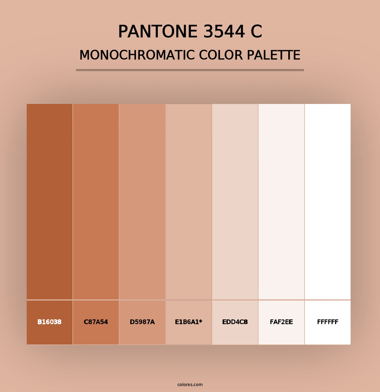 PANTONE 3544 C - Monochromatic Color Palette