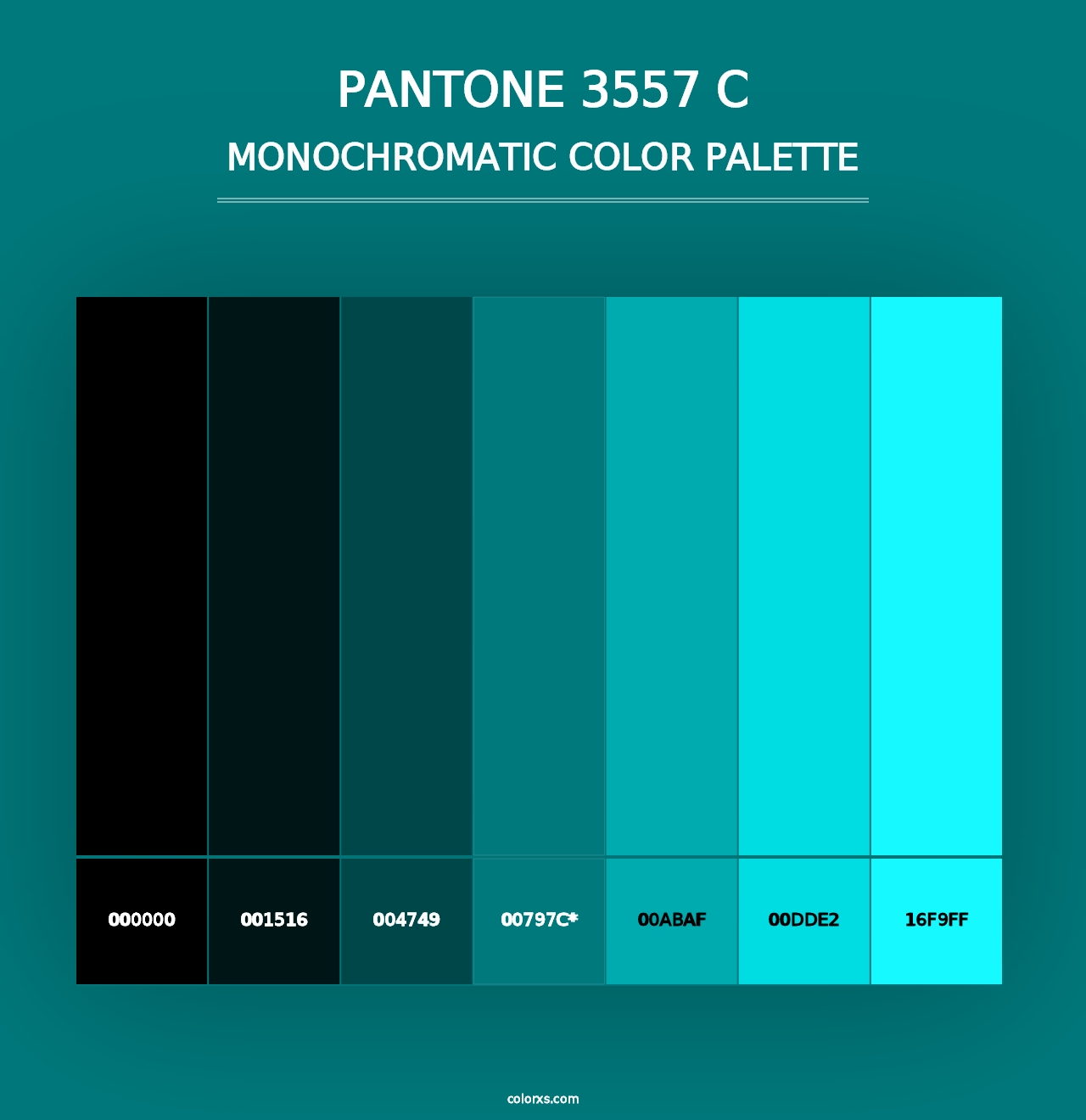 PANTONE 3557 C - Monochromatic Color Palette