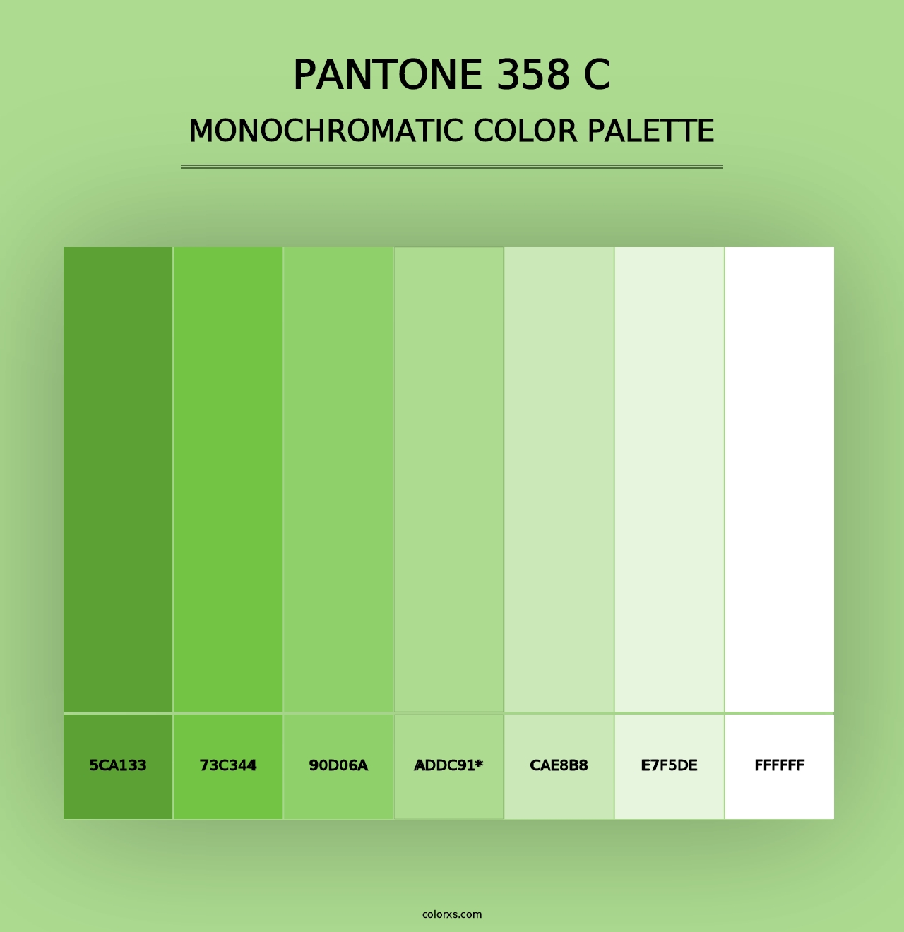 PANTONE 358 C - Monochromatic Color Palette