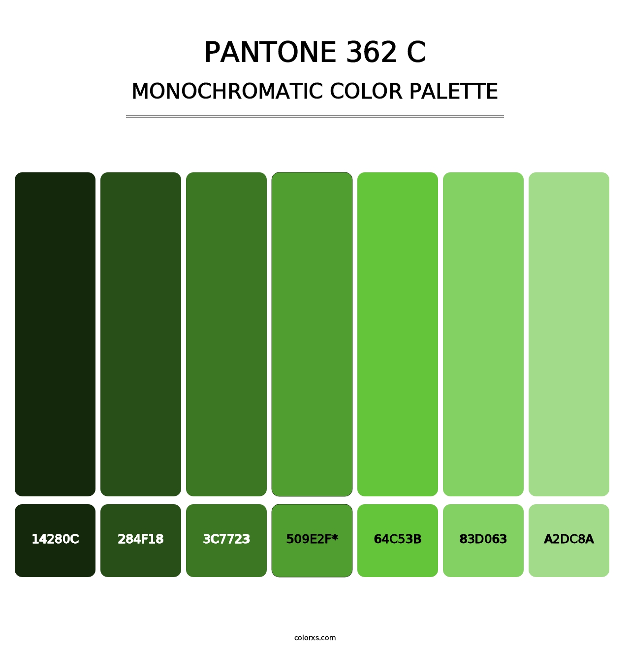 PANTONE 362 C - Monochromatic Color Palette