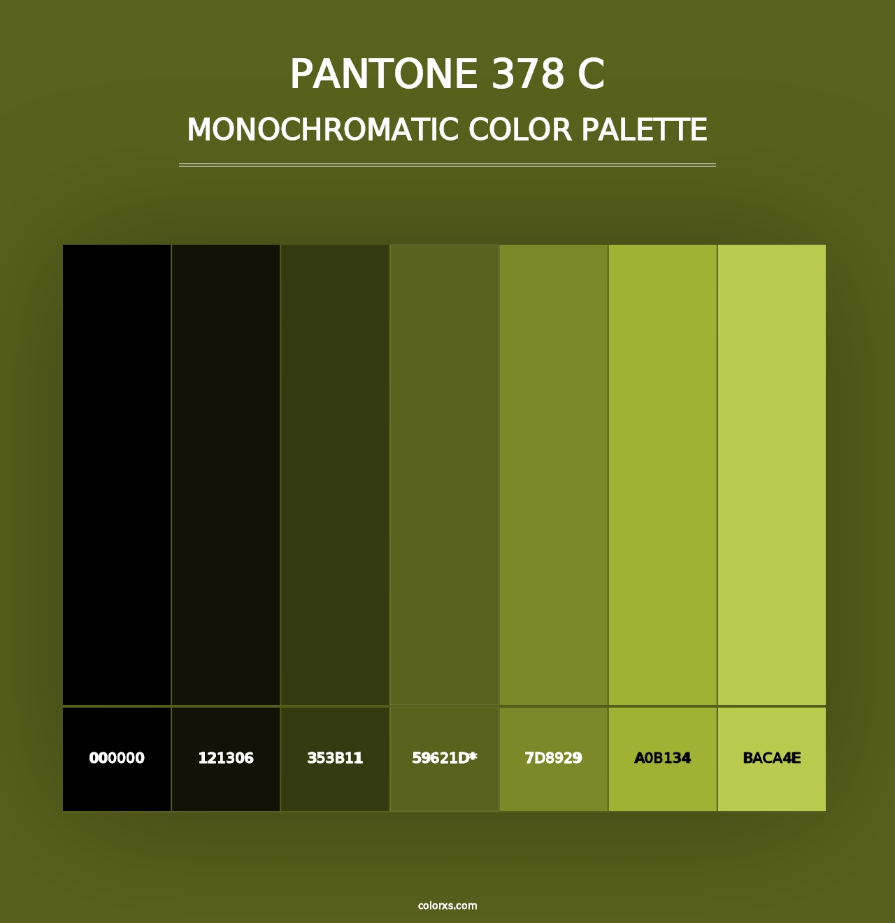 PANTONE 378 C - Monochromatic Color Palette