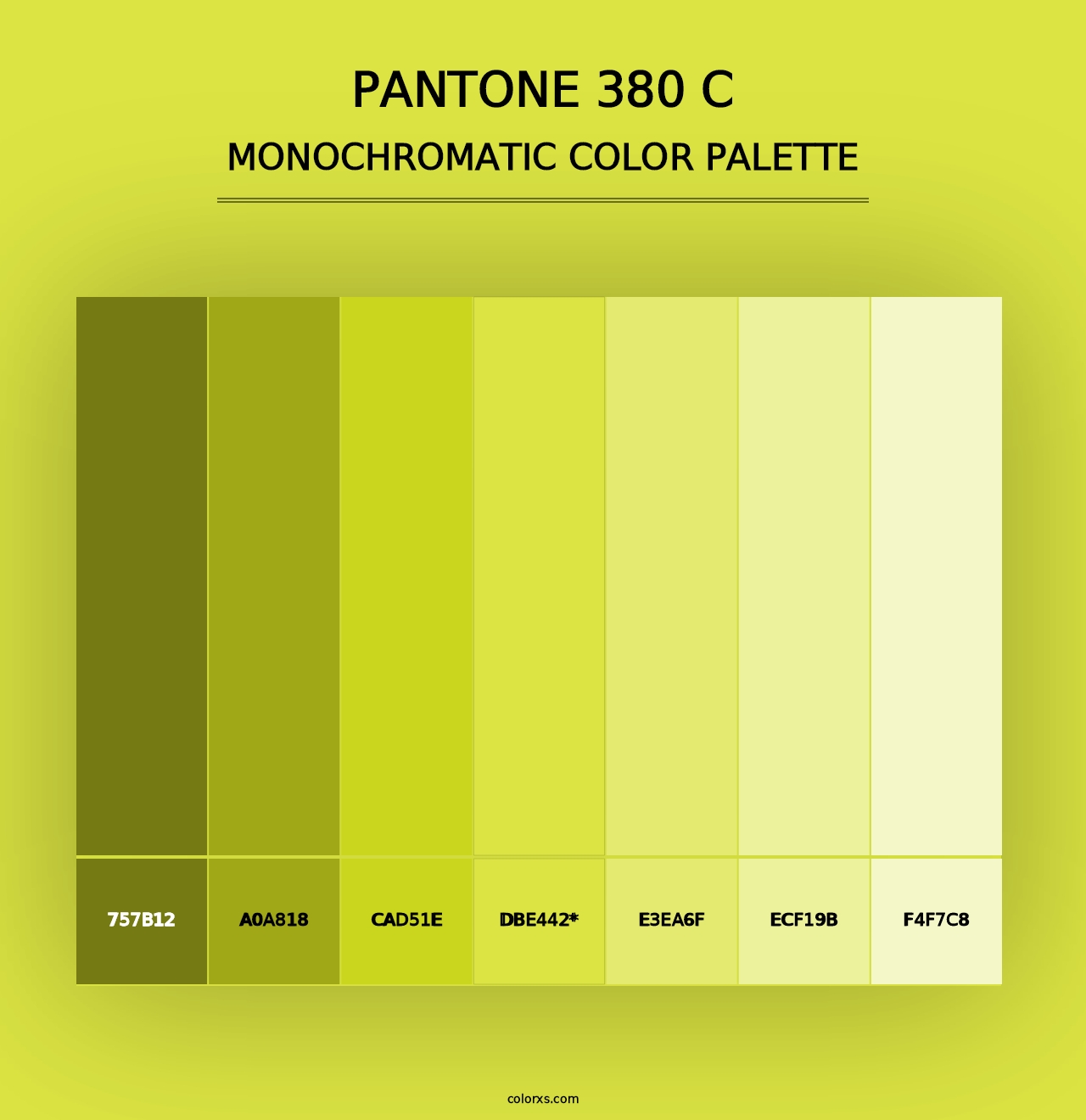 PANTONE 380 C - Monochromatic Color Palette