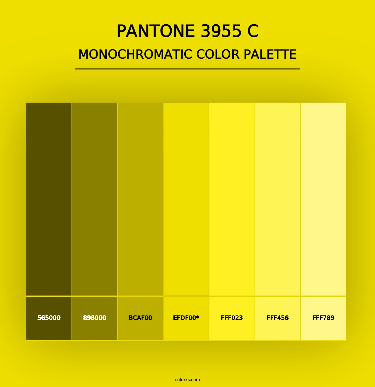 PANTONE 3955 C - Monochromatic Color Palette