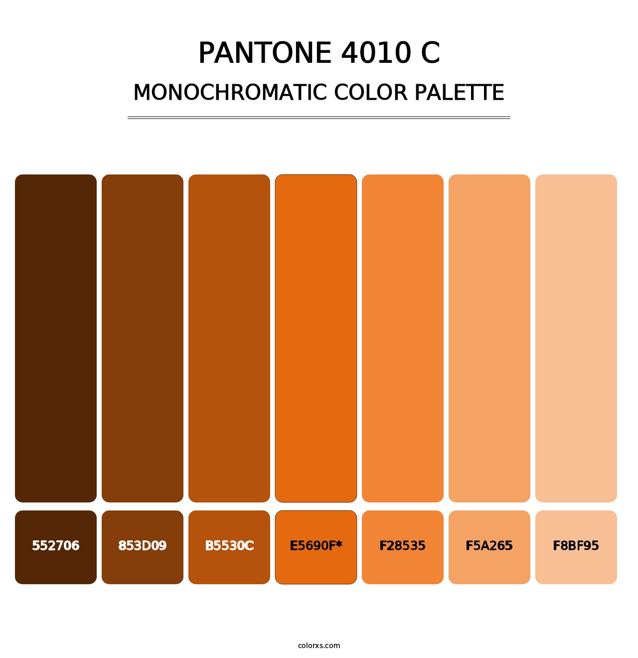 PANTONE 4010 C - Monochromatic Color Palette