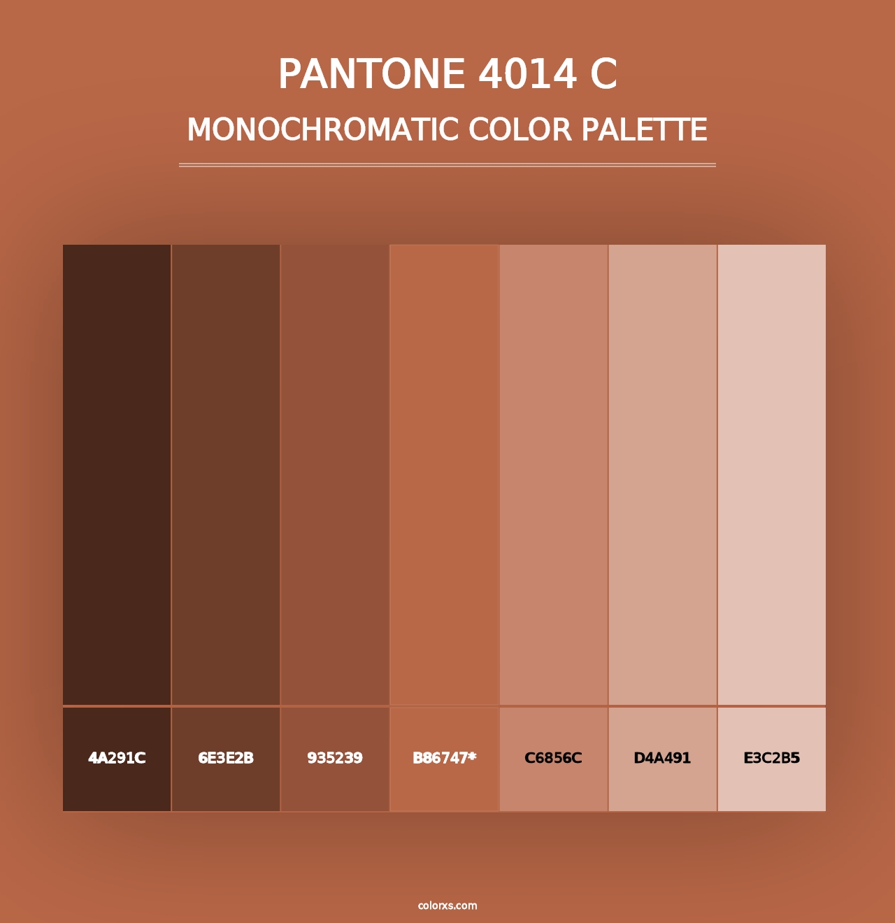 PANTONE 4014 C - Monochromatic Color Palette