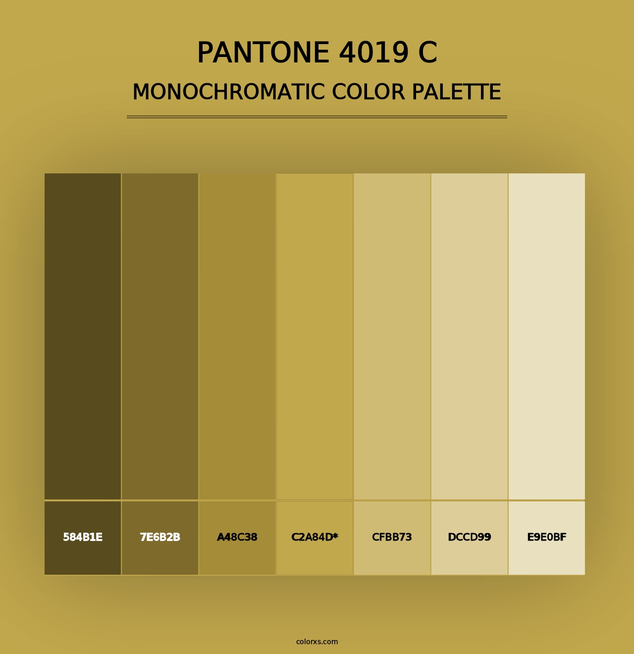 PANTONE 4019 C - Monochromatic Color Palette