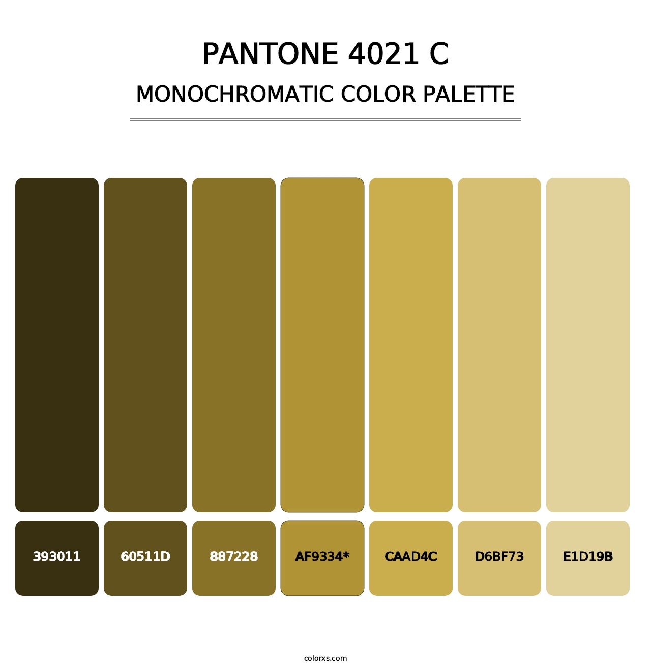 PANTONE 4021 C - Monochromatic Color Palette